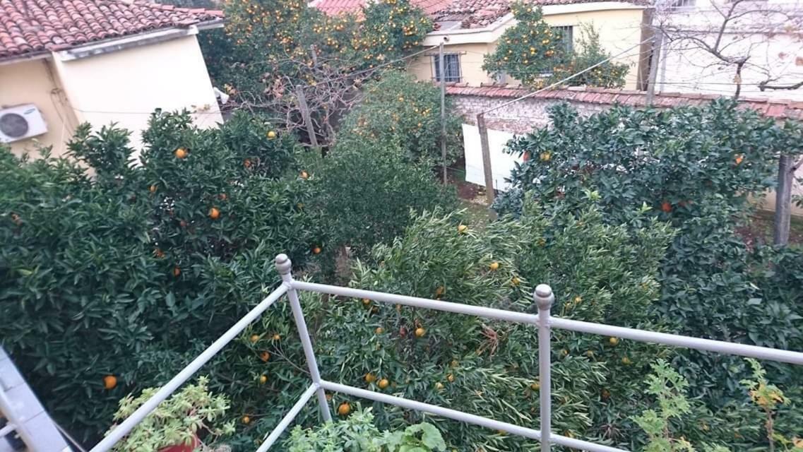Orange Villa Hotel Tiranë Ngoại thất bức ảnh